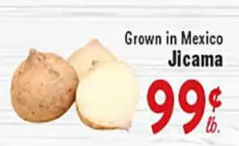 Rio Valley Market Jicama offer