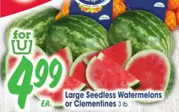 Jewel-Osco Large Seedless Watermelons or Clementines offer
