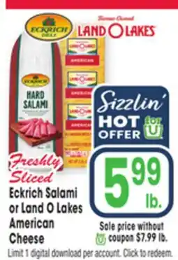 Jewel-Osco Eckrich Salami or Land O Lakes American Cheese offer
