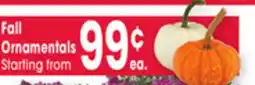 Jewel-Osco Fall Ornamentals offer