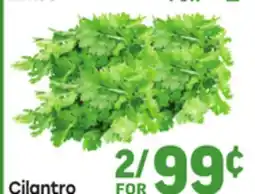 Tony’s Fresh Market Cilantro offer