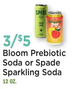 Heinen's Bloom Prebiotic Soda or Spade Sparkling Soda offer