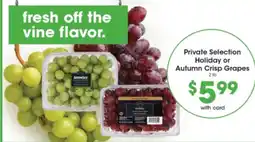Pick'n Save Private Selection Holiday or Autumn Crisp Grapes offer