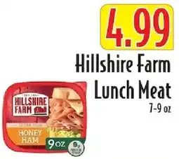 Piggly Wiggly Hillshire Farm lunch meat offer