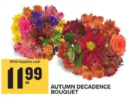 Food Lion Autumn Decadence Bouquet offer