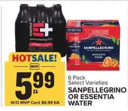 Food Lion Sanpellegrino or Essentia Water offer