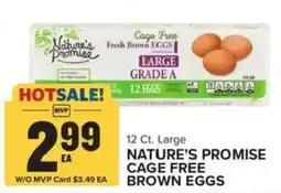 Food Lion Nature's Promise cage free brown eggs offer