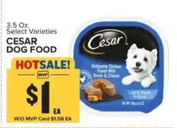 Food Lion Cesar dog food offer