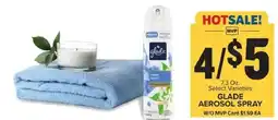 Food Lion Glade aerosol spray offer