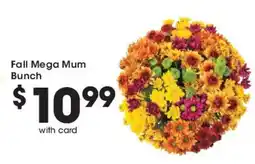 Mariano's Fall Mega Mum Bunch offer