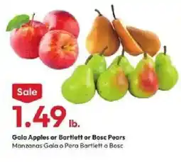 Stater Bros Gala Apples or Bartlett or Bosc Pears offer