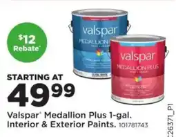 Mills Fleet Farm Valspar Medallion Plus Interior & Exterior Paints offer