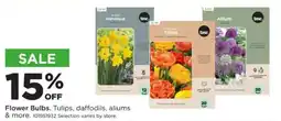 Mills Fleet Farm Tase flower bulbs offer