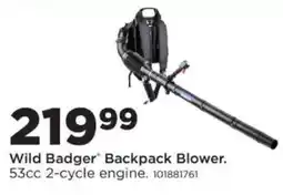 Mills Fleet Farm Wild Badger Backpack Blower offer