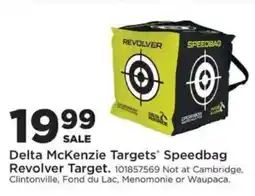 Mills Fleet Farm Delta McKenzie Targets Speedbag Revolver Target offer
