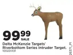 Mills Fleet Farm Delta McKenzie Targets Riverbottom Series Intruder Target offer
