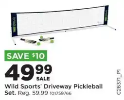 Mills Fleet Farm Wild Sports Driveway Pickleball Set offer