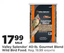 Mills Fleet Farm Valley Splendor Gourmet Blend Wild Bird Food offer