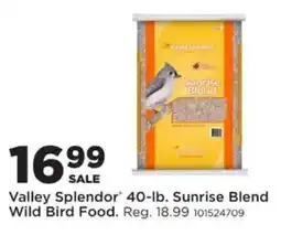 Mills Fleet Farm Valley Splendor sunrise blend wild bird food offer