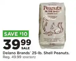 Mills Fleet Farm Delano Brands Shell Peanuts offer