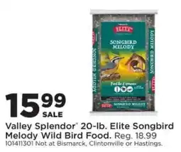Mills Fleet Farm Valley Splendor Elite Songbird Melody Wild Bird Food offer