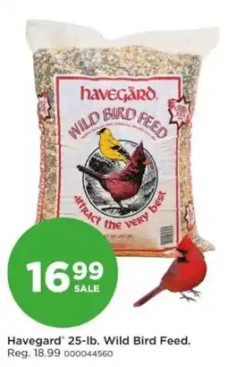Mills Fleet Farm Havegard 25-lb. Wild Bird Feed offer