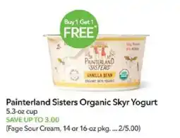 Publix Painterland Sisters Organic Skyr Yogurt offer