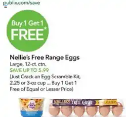 Publix Nellie's Free Range Eggs offer