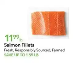Publix Salmon Fillets offer