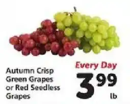 Safeway Autumn Crisp Green Grapes or Red Seedless Grapes offer