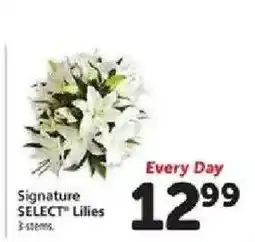 Safeway Signature Select Lilies offer