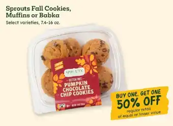 Sprouts pumpkin chocolate chip cookies