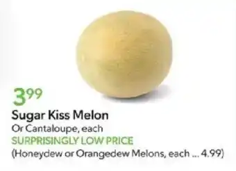 Sugar Kiss Melon