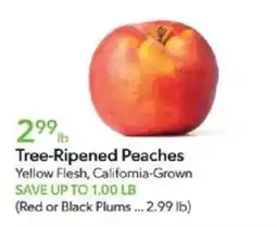 Publix Tree-Ripened Peaches offer