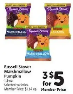 Safeway Russell Stover Marshmallow Pumpkin offer