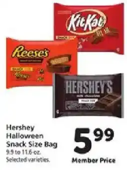 Safeway Hershey Halloween Snack Size Bag offer