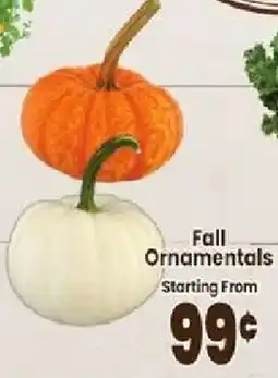 Jewel-Osco Fall Ornamentals offer