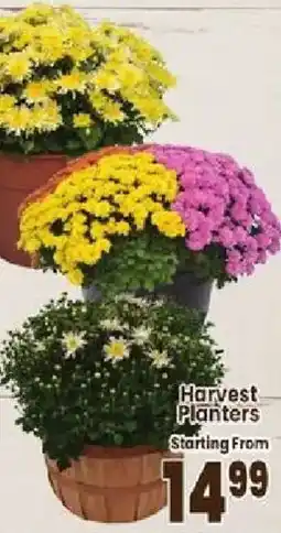Jewel-Osco Harvest Planters offer