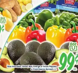 Jewel-Osco Hass Avocados, Green, Red, Orange or Yellow Peppers or Fresh Express Spinach offer