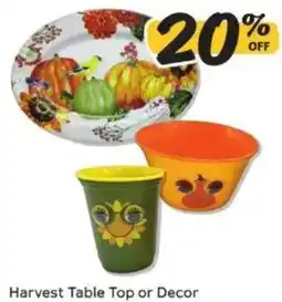 Winn Dixie Harvest Table Top or Decor offer