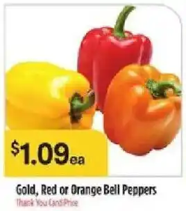 Gold, Red or Orange Bell Peppers