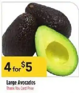 Large Avocados