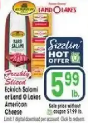 Jewel-Osco Land O Lakes Freshly Sliced Eckrich Salami or Land O Lakes American Cheese offer