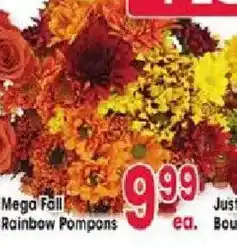 Jewel-Osco Mega Fall Rainbow Pompons offer