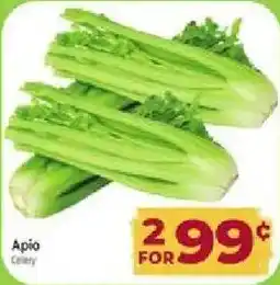 Cardenas Apiol Celery offer
