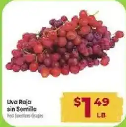 Cardenas Red Seedless Grapes offer