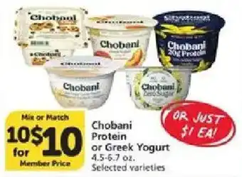 Chobani Protein or Greek Yogurt