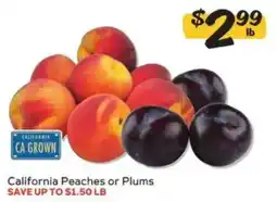 Winn Dixie California Peaches or Plums offer