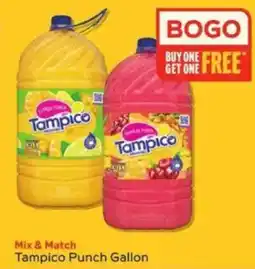Winn Dixie Tampico Punch Gallon offer