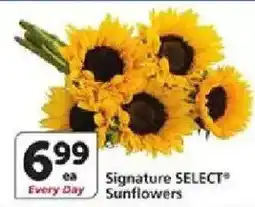 Vons Signature Select Sunflowers offer